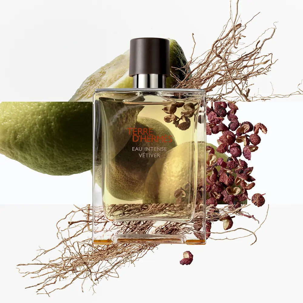 Hermès Terre d'Hermès Eau Intense Vétiver Eau de Parfum