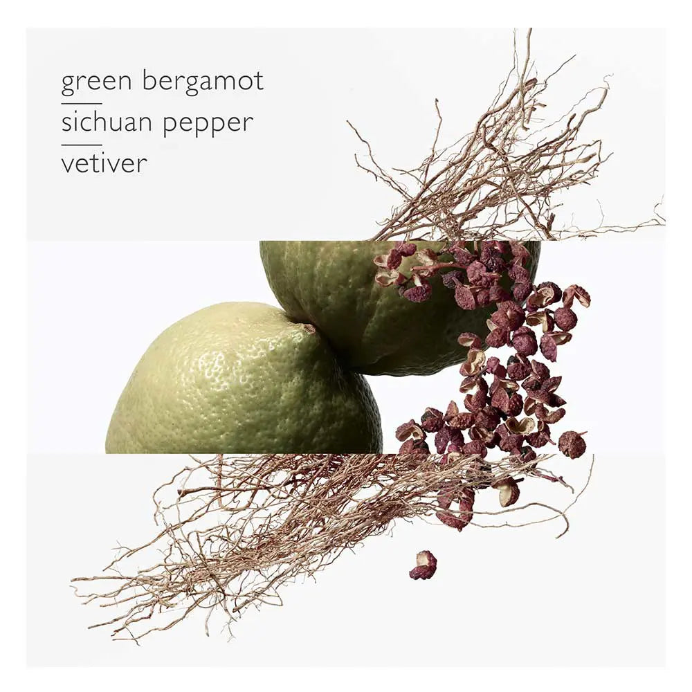 Hermès Terre d'Hermès Eau Intense Vétiver Eau de Parfum