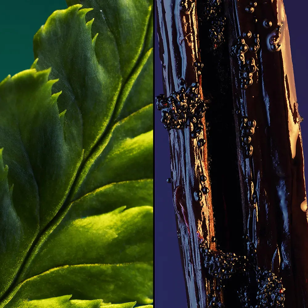 Guerlain Jicky Eau de Parfum