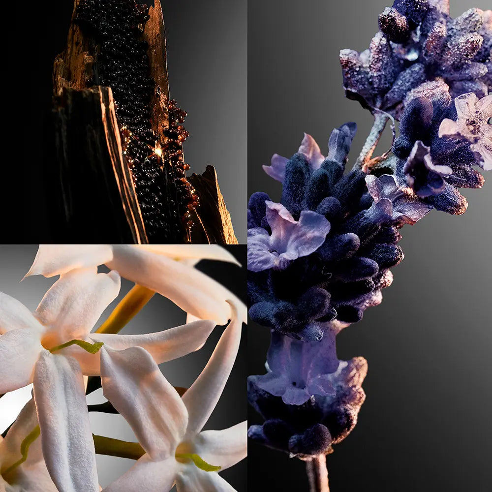 Rabanne Phantom Intense Eau de Parfum