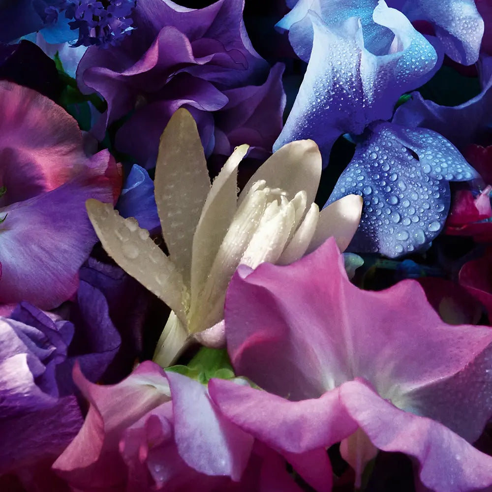 Guerlain Florabloom Absolu Eau de Parfum