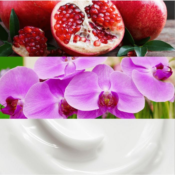 Calvin Klein Euphoria EDP