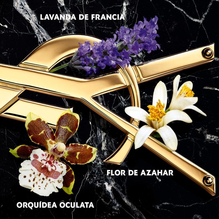 Yves Saint Laurent Libre Intense Eau de Parfum