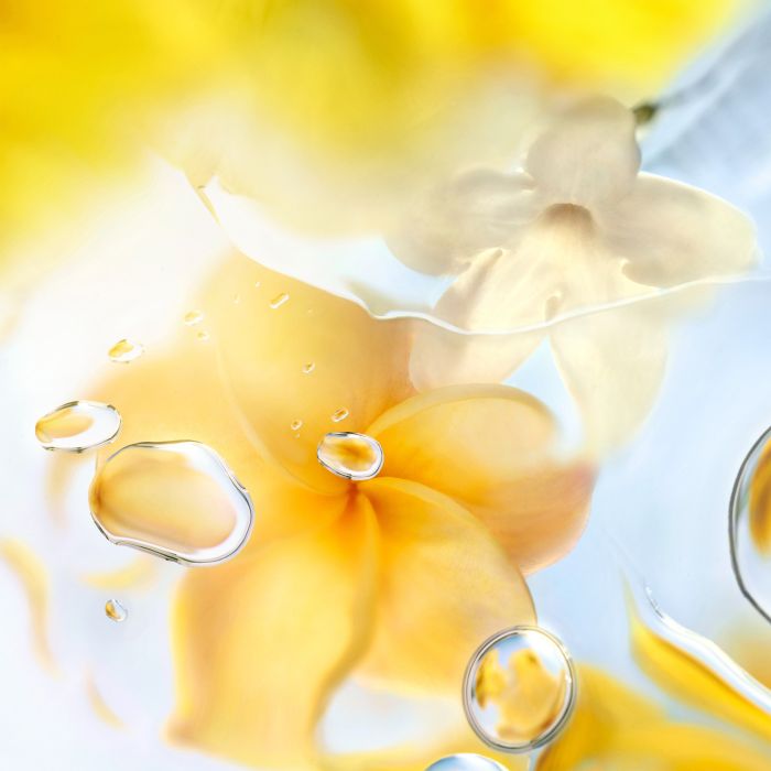 Lancôme Ô Zenith Eau de Toilette