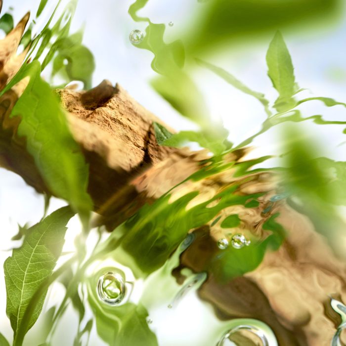 Lancôme Ôff Now Eau de Toilette