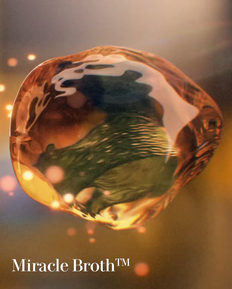 The Essential Discovery Collection