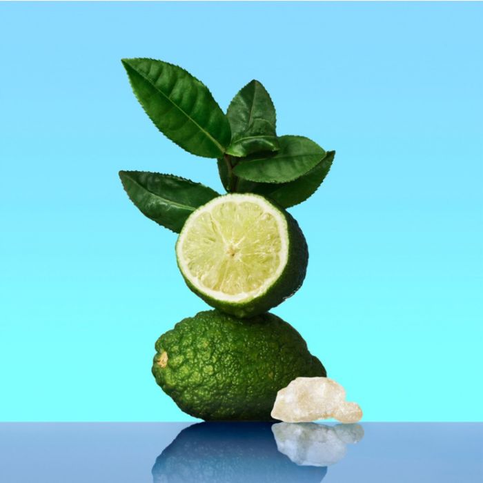 Calvin Klein CK One – Unisex Cologne