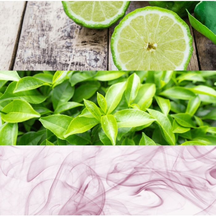 Calvin Klein CK One – Unisex Cologne