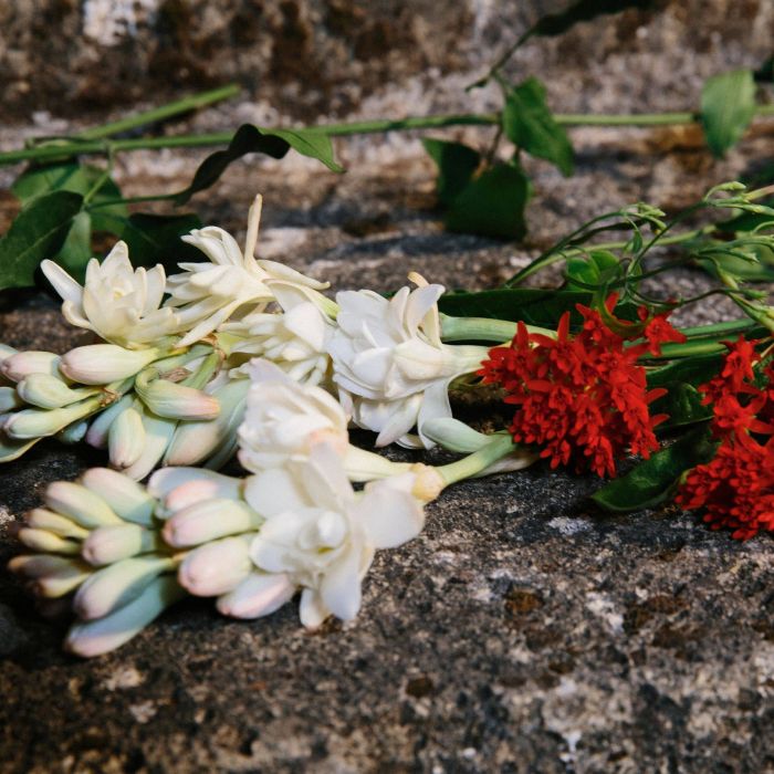 Gucci Bloom Eau de Parfum