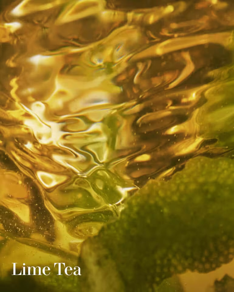 The Essential Discovery Collection