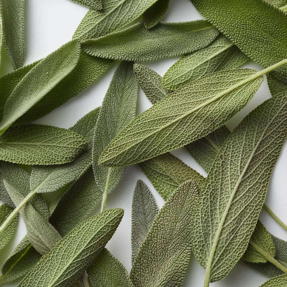 Ralph Lauren Polo Blue Eau de Toilette