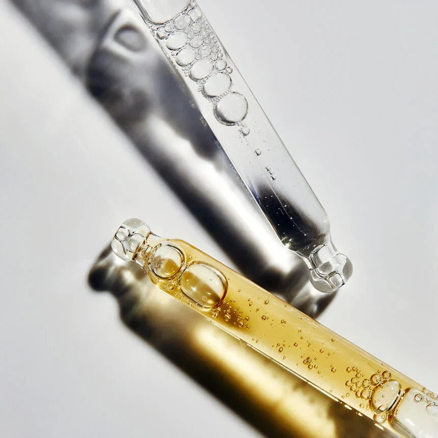 The Most‑Loved Holiday Collection