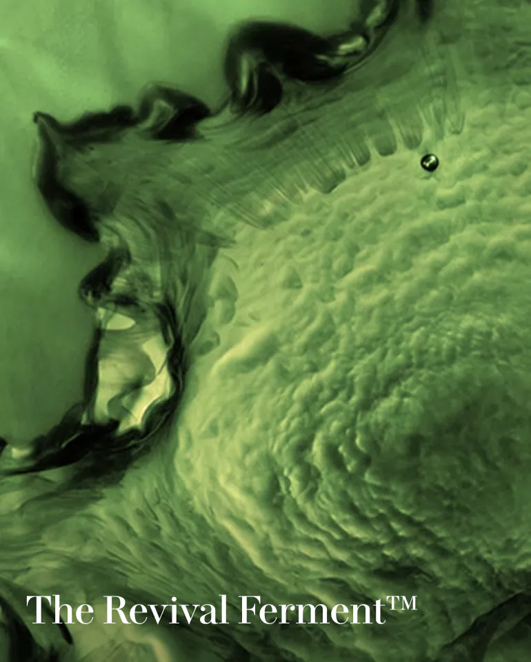 The Treatment Lotion