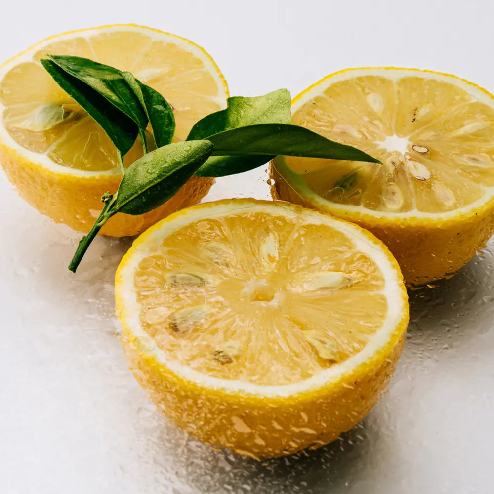 Loewe Agua De Loewe Mar De Coral