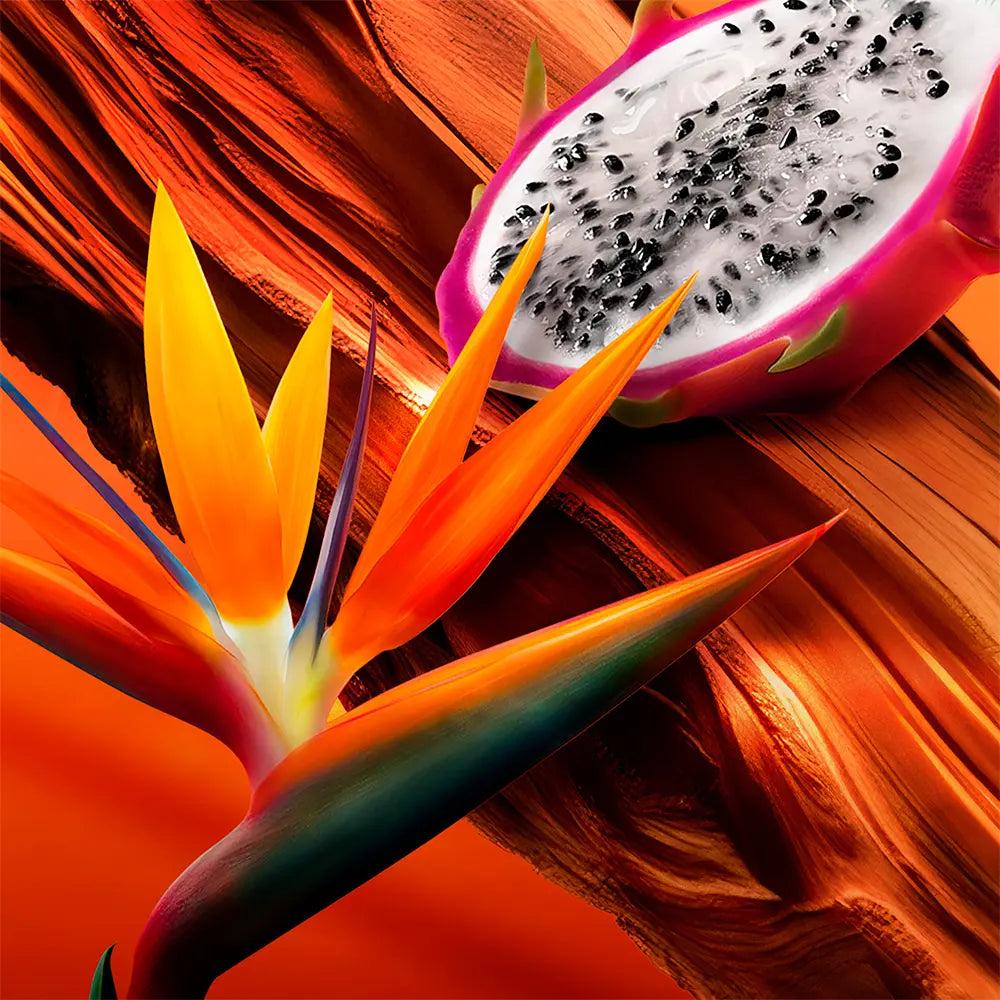 Escada Bali Paradise