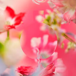 Chanel CHANCE Eau Tendre