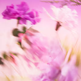 Chanel Chance Eau Splendide Eau de Parfum