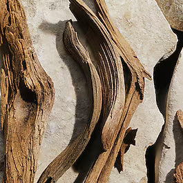 Light Blue Eau de Toilette