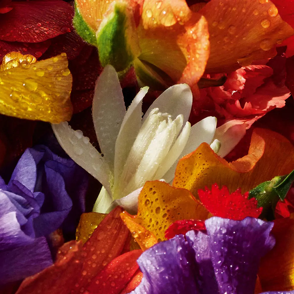 Aqua Allegoria Flora Bloom Forte Eau de Parfum – Guerlain