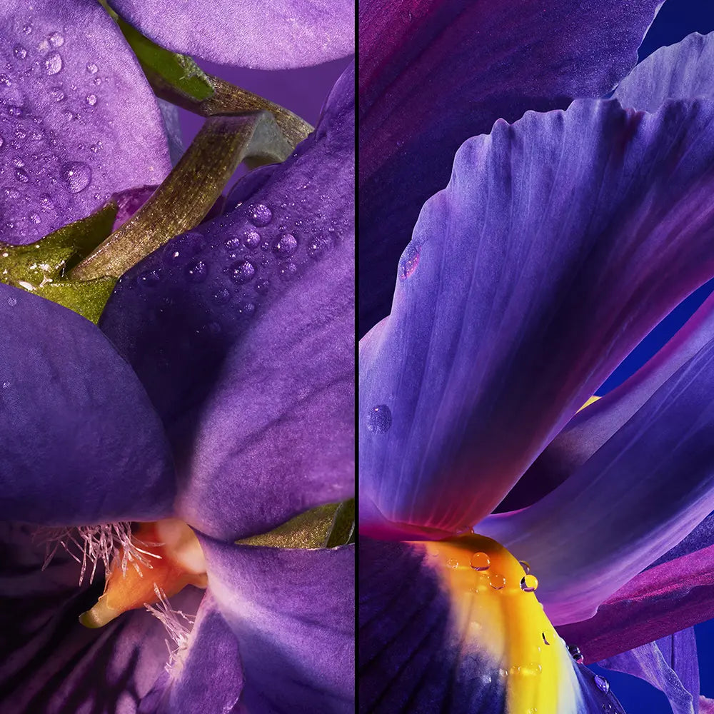 Guerlain Insolence Eau de Parfum