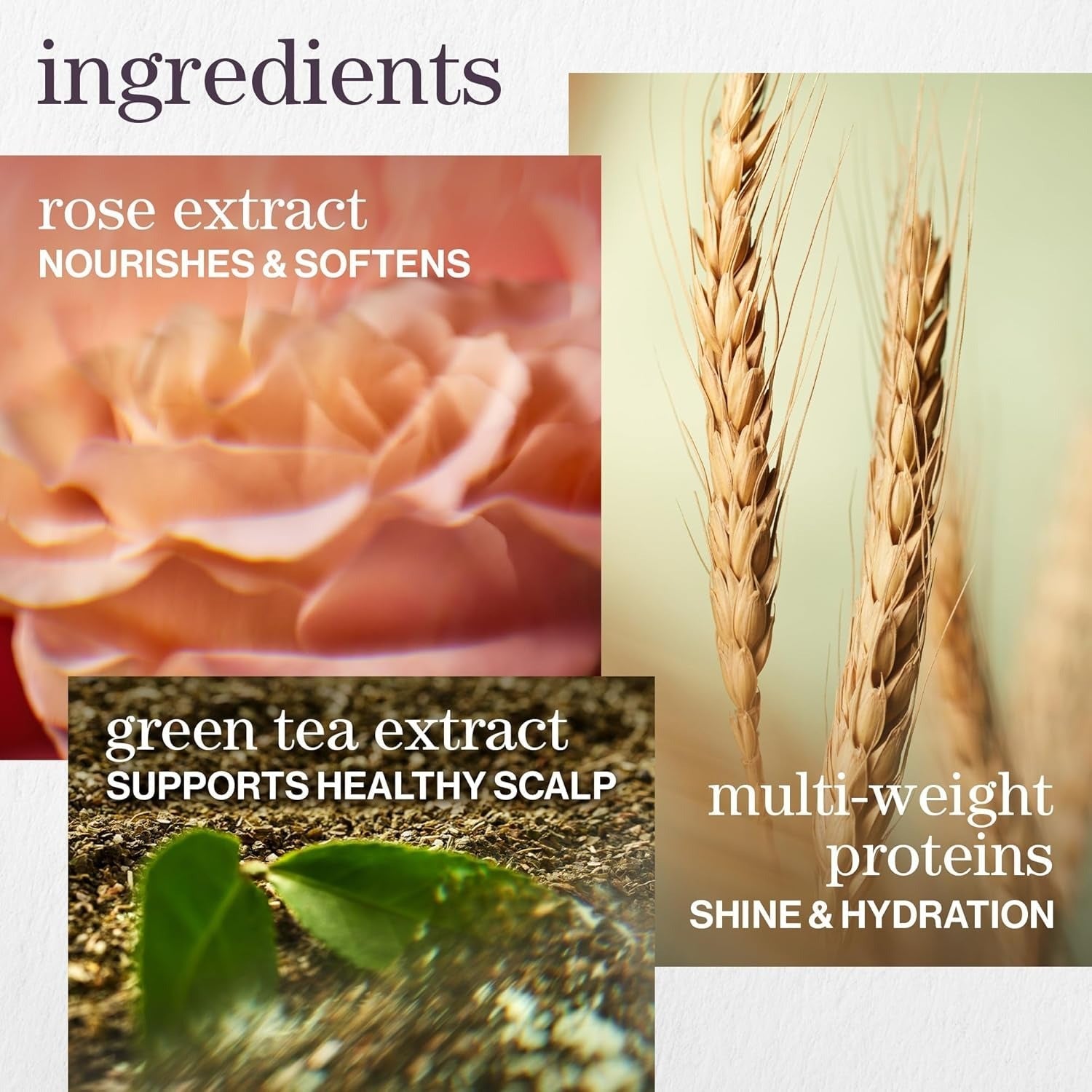 Pureology Hydrate Shampoo