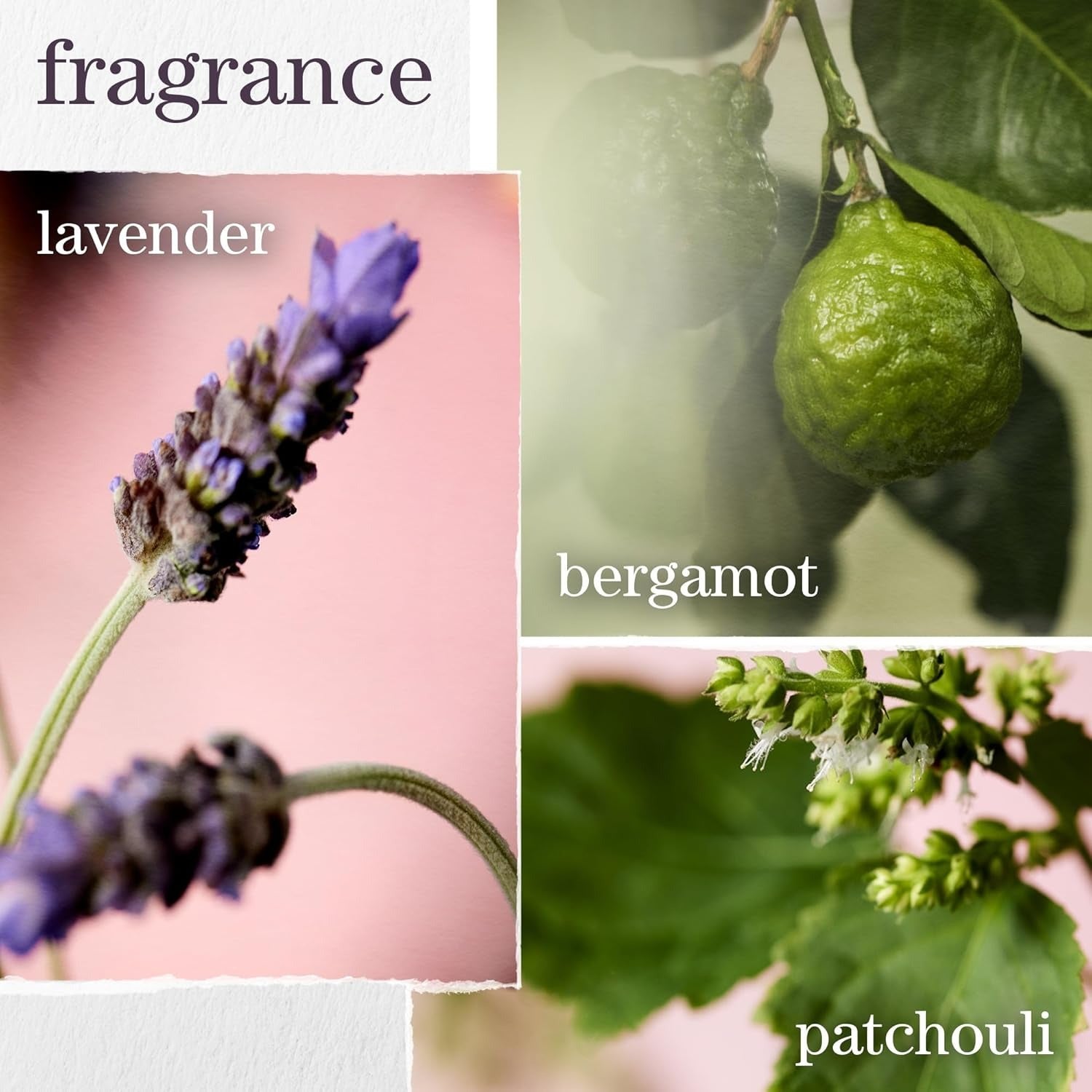 Pureology Hydrate Shampoo