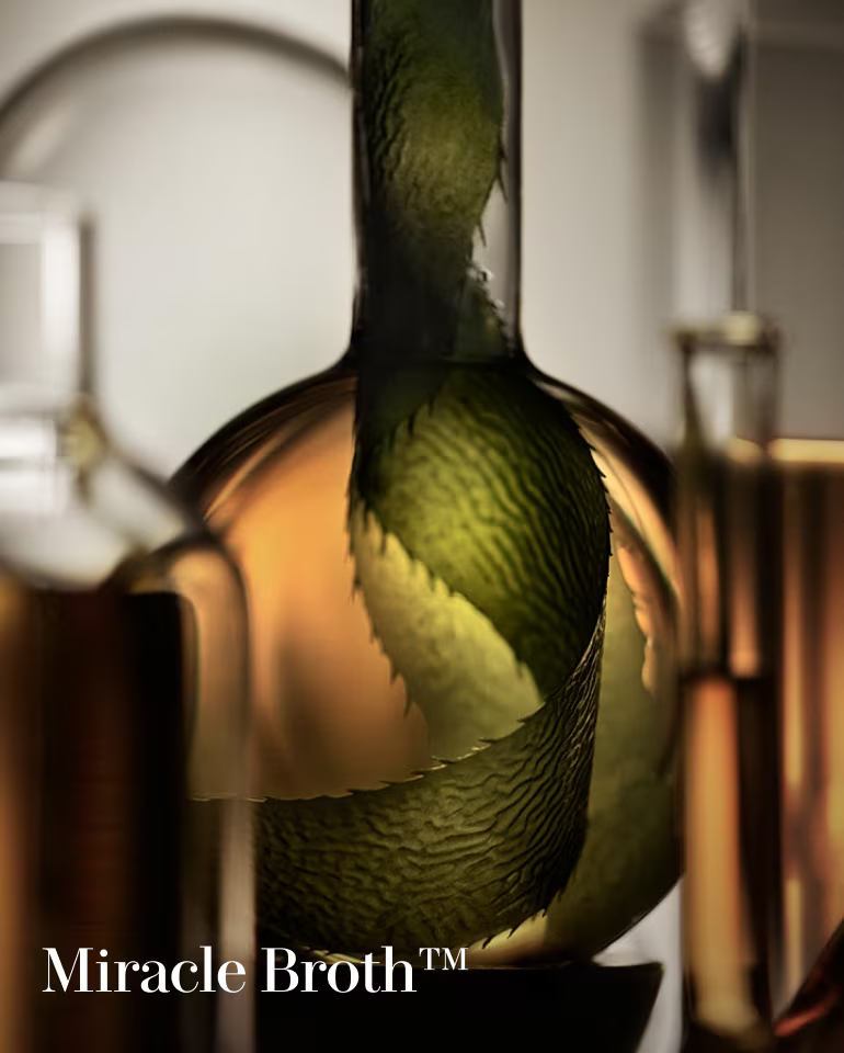 The Reparative Body Lotion