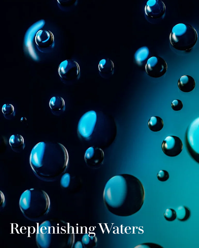 The Reparative Body Lotion