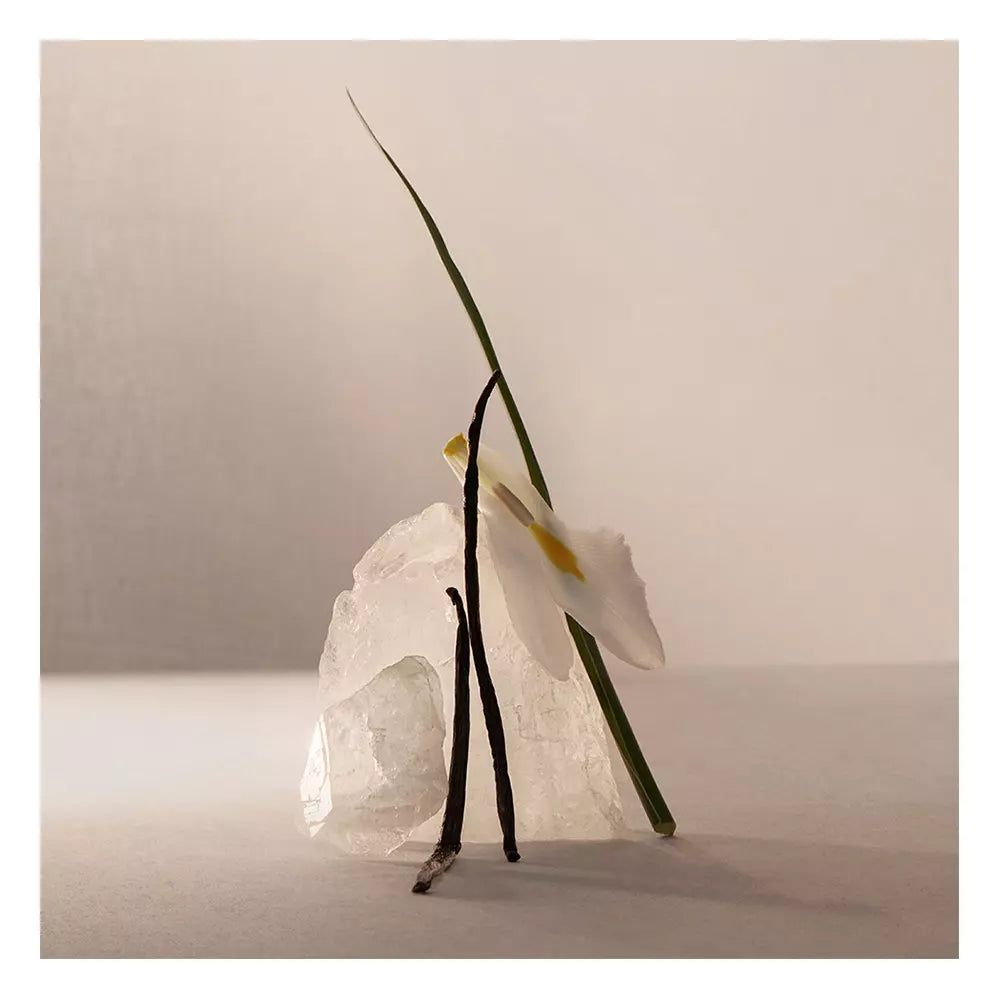 Adolfo Domínguez Terracota Musk Eau de Parfum