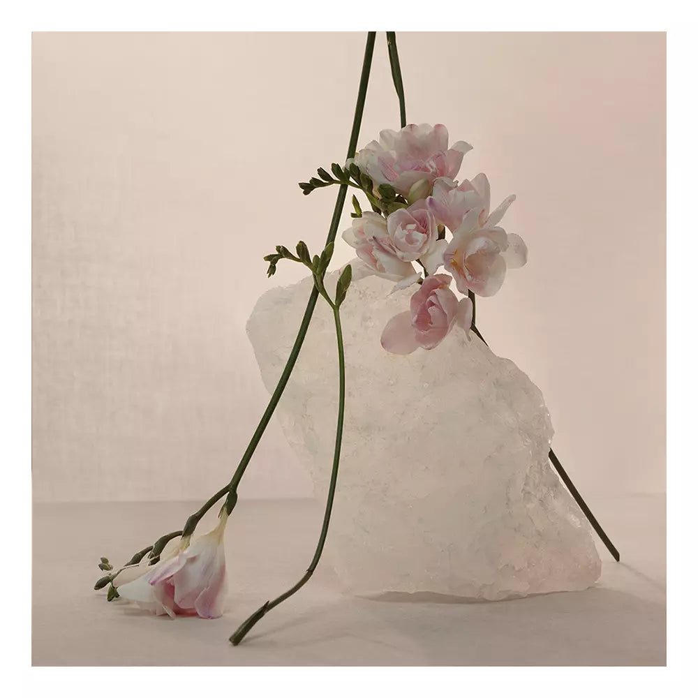 Adolfo Domínguez Nude Musk Eau de Parfum