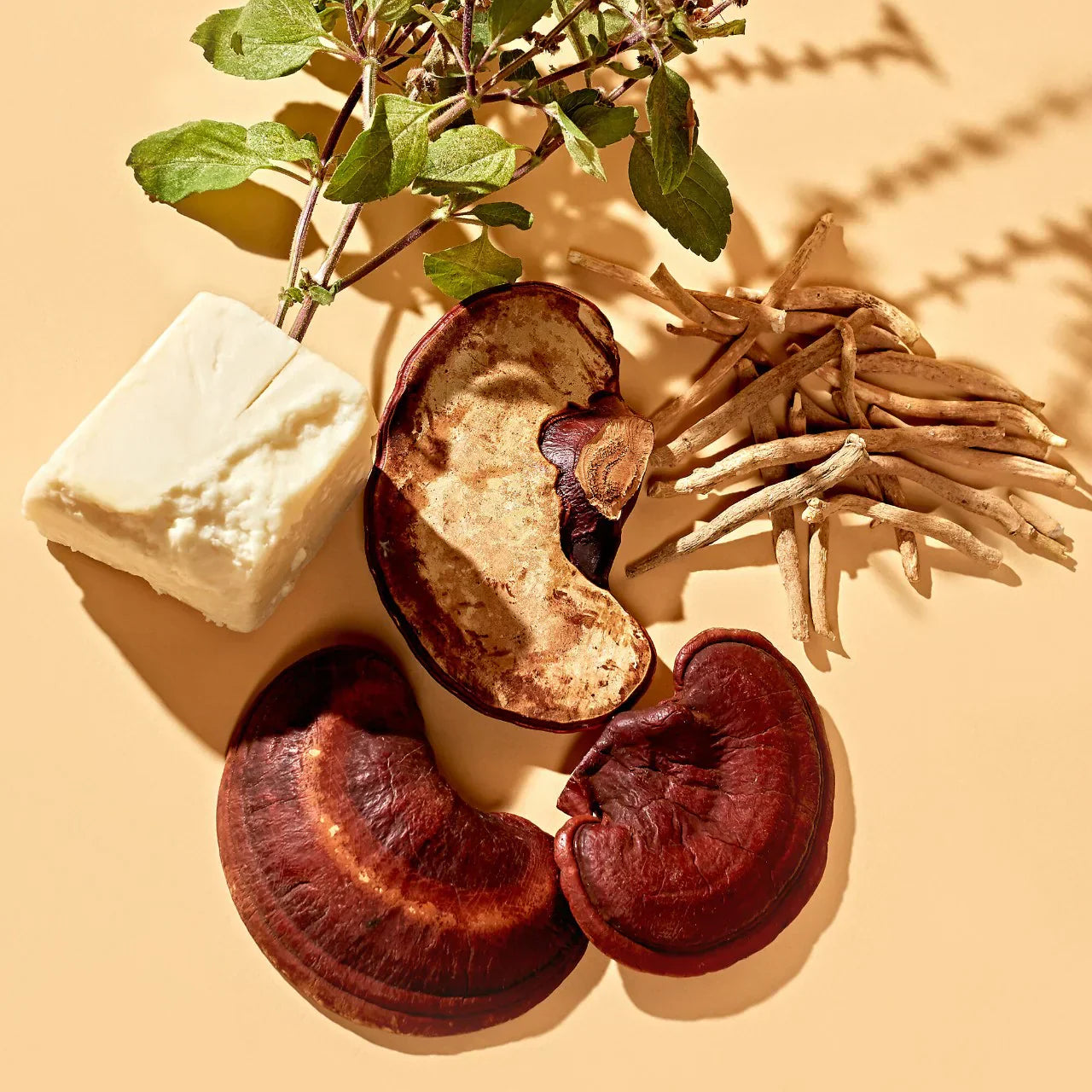 Adaptogen Deep Moisturizing Cream with Ashwagandha + Reishi Mushroom