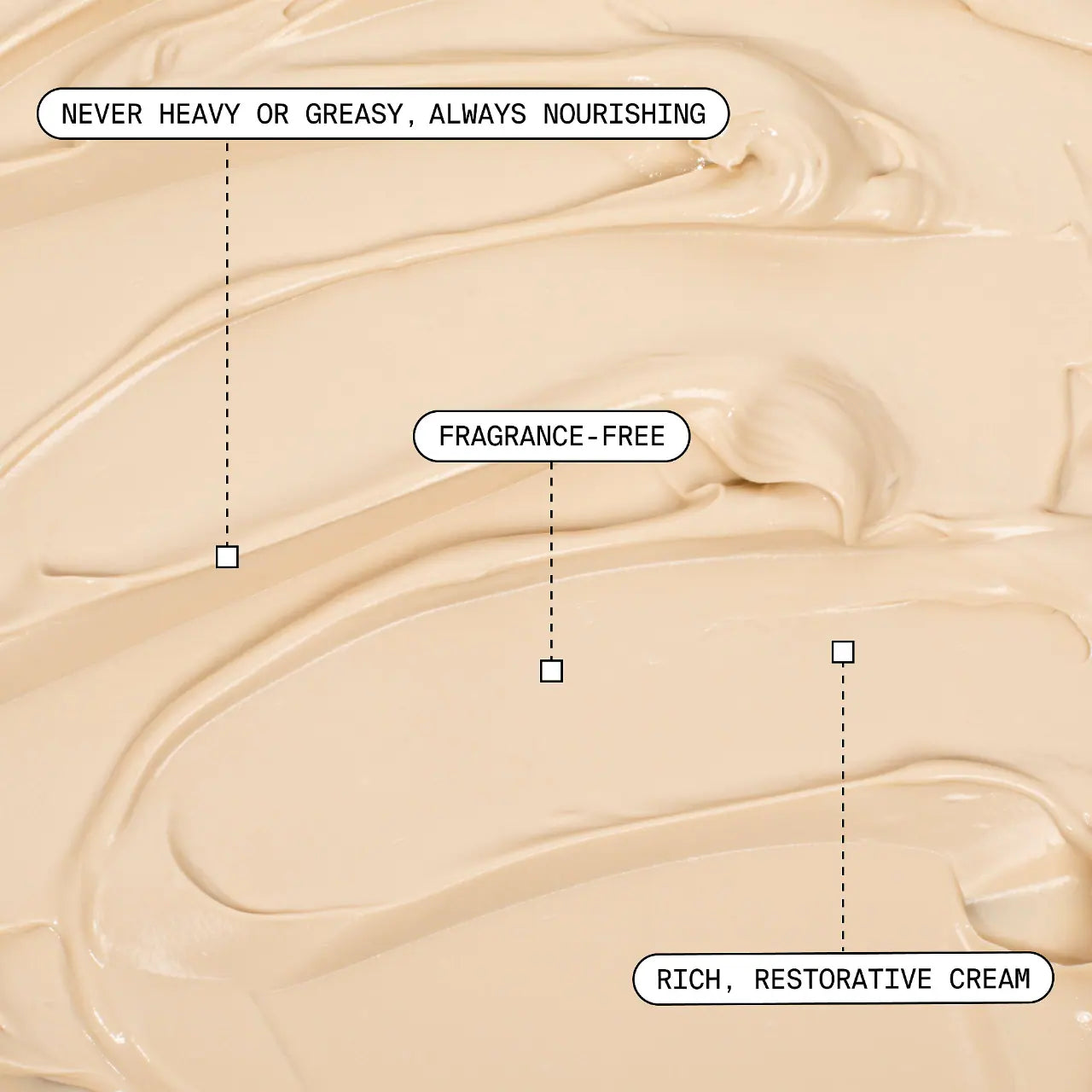 Adaptogen Deep Moisturizing Cream with Ashwagandha + Reishi Mushroom