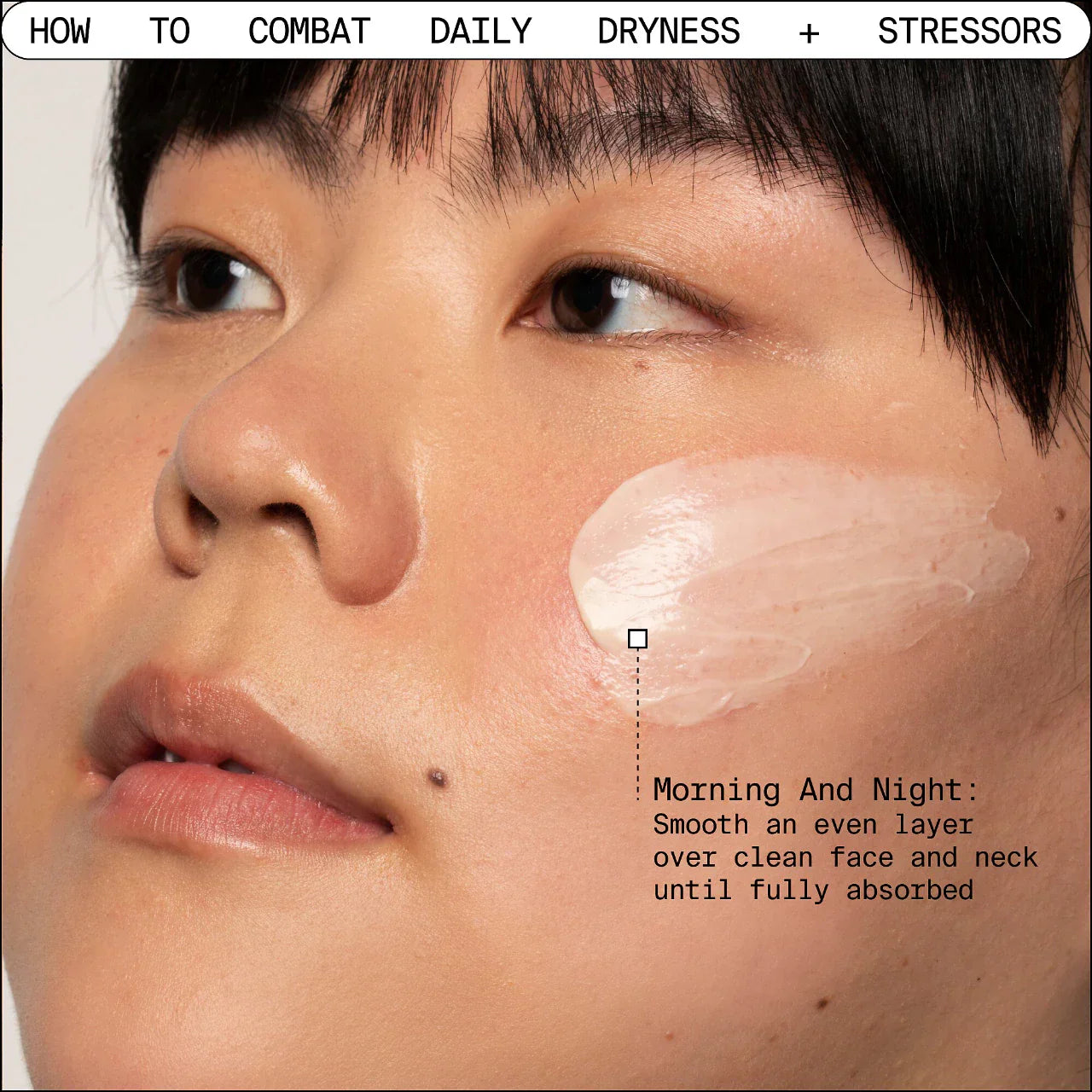 Adaptogen Deep Moisturizing Cream with Ashwagandha + Reishi Mushroom