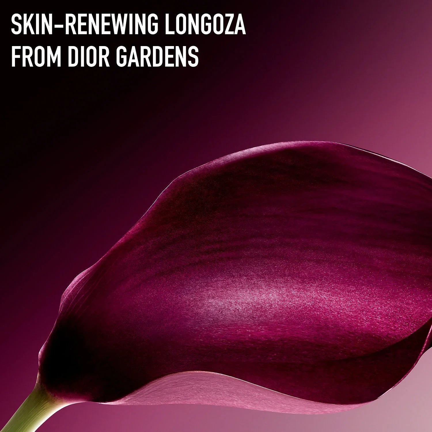 Capture Totale Super Potent Eye Serum