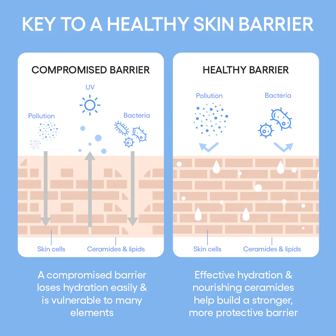 Cream Skin Refillable Toner & Moisturizer with Ceramides and Peptides