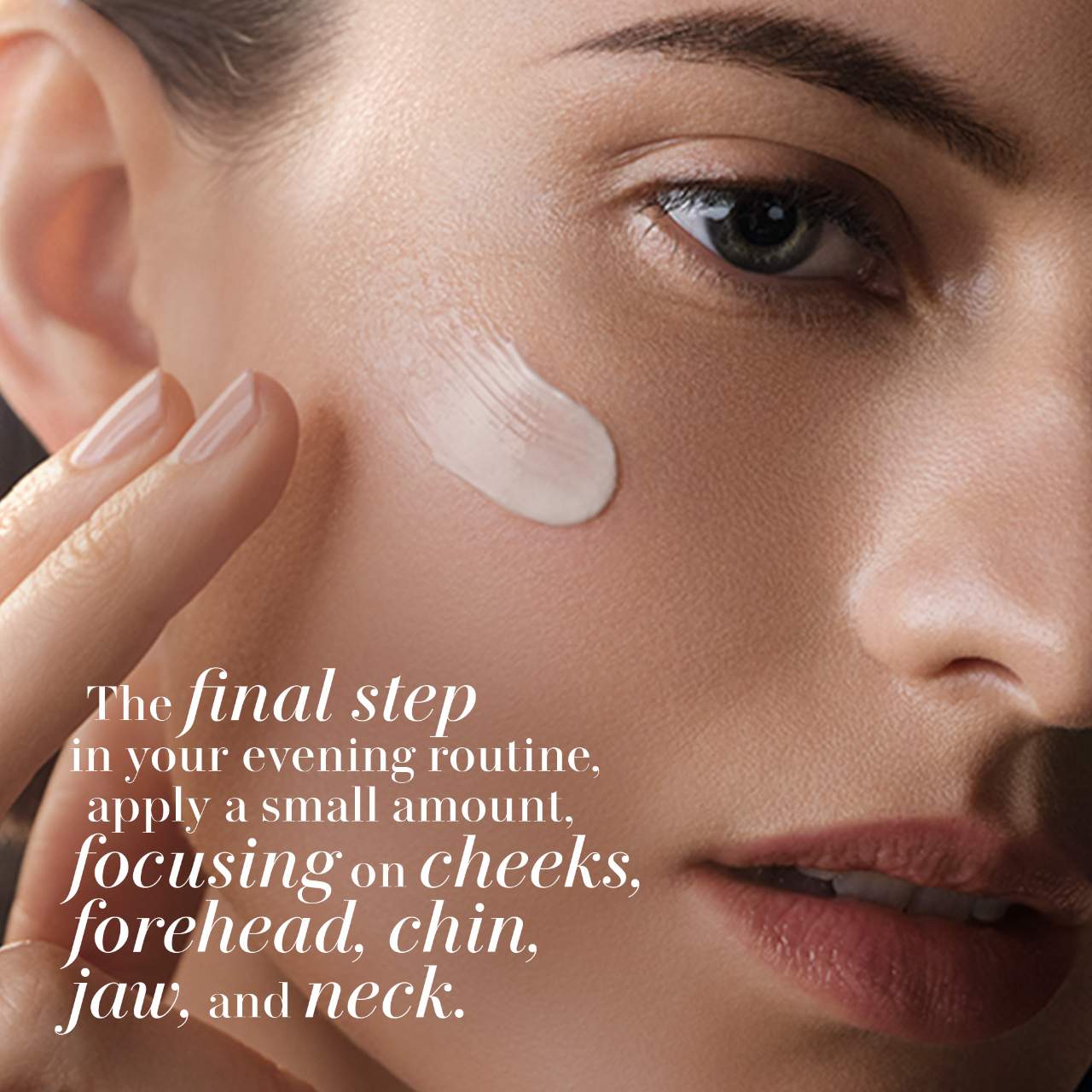 The Rejuvenating Night Cream