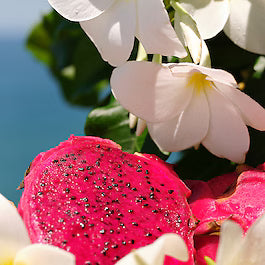 Brazilian Crush Cheirosa 68 – Aromatic Body & Hair Mist