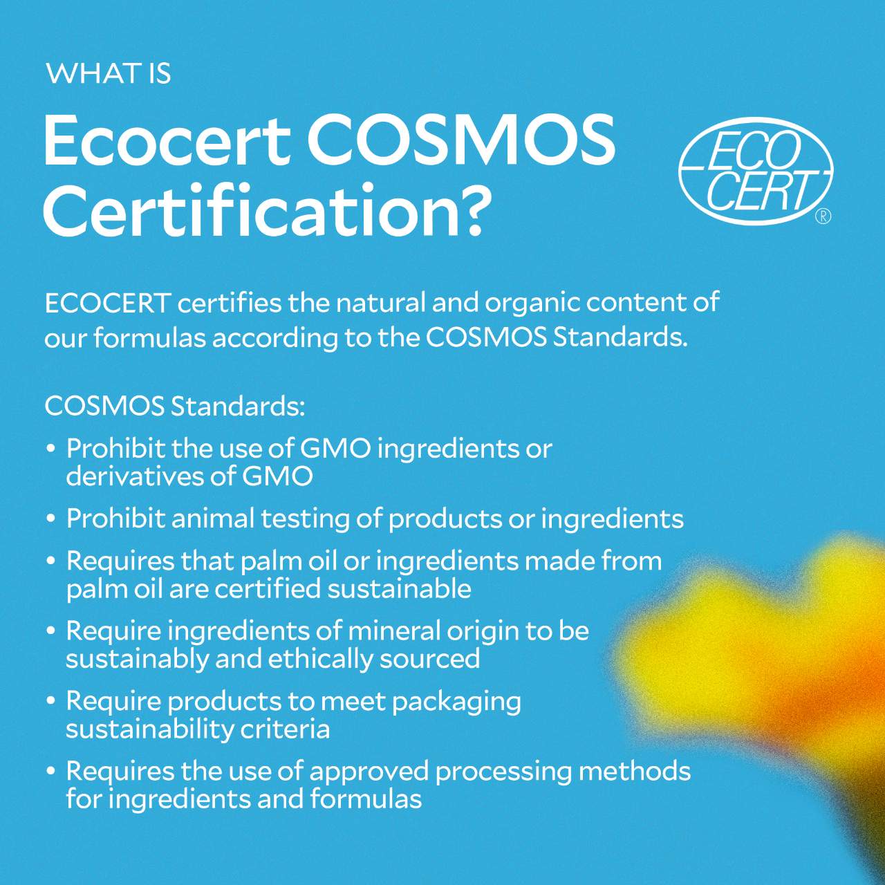 Regenerating BHA Exfoliating Cleanser