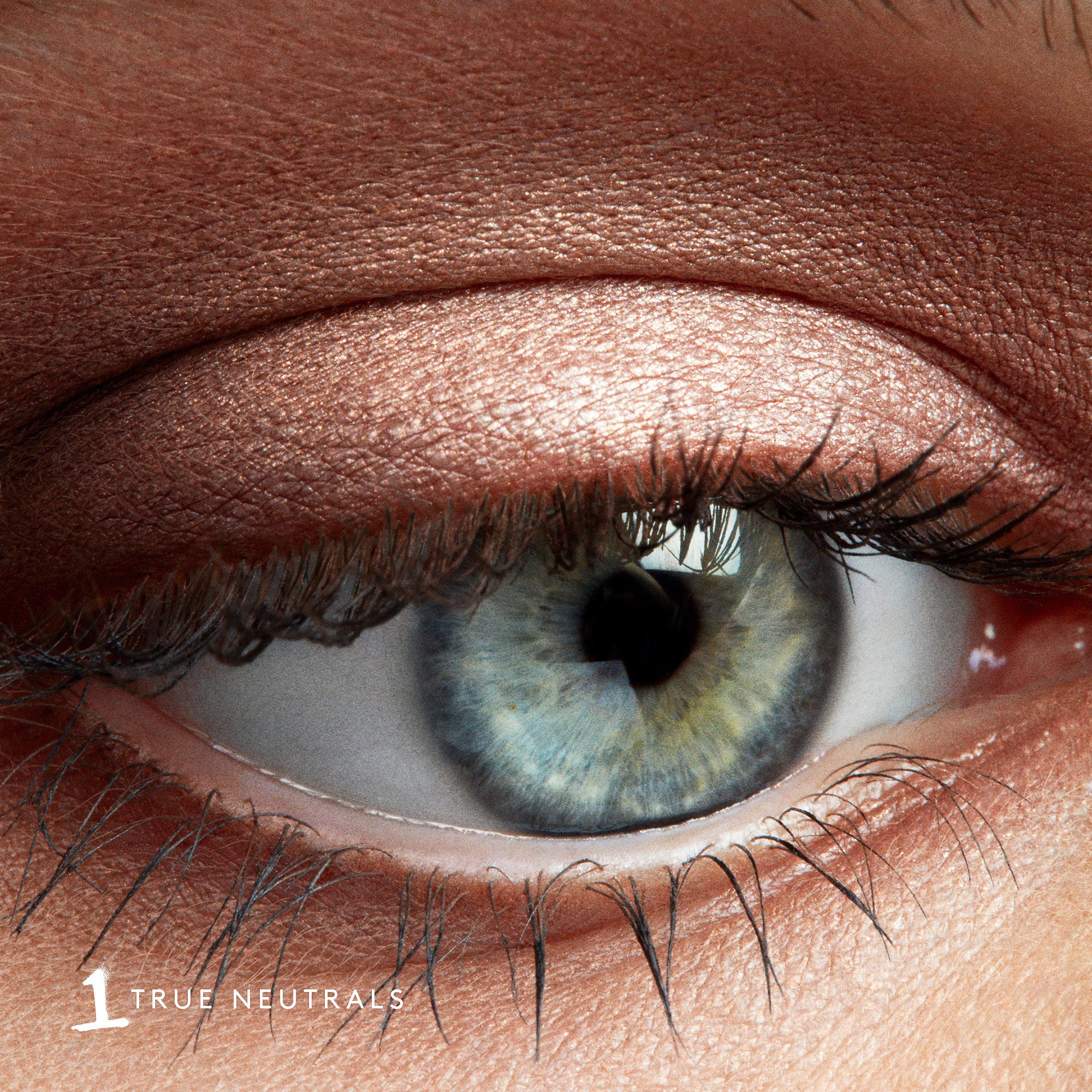 Snap Shadows Mix & Match Eyeshadow Palette