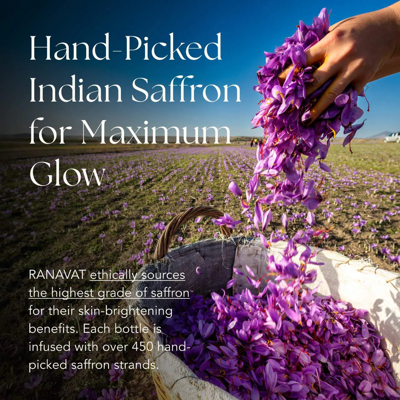 Radiant Rani- Saffron Brightening Dark Spot Treatment