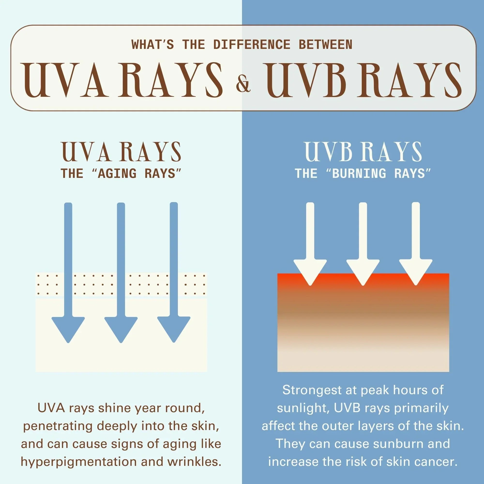 Isle Nourishing Body Mist SPF 50 with Sea Moss and Hyaluronic Acid