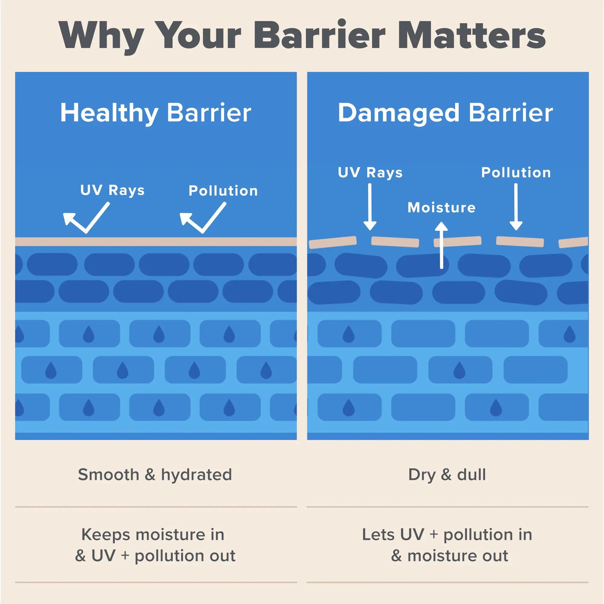 RESIST Barrier Repair Advanced Moisturizer with Ceramides