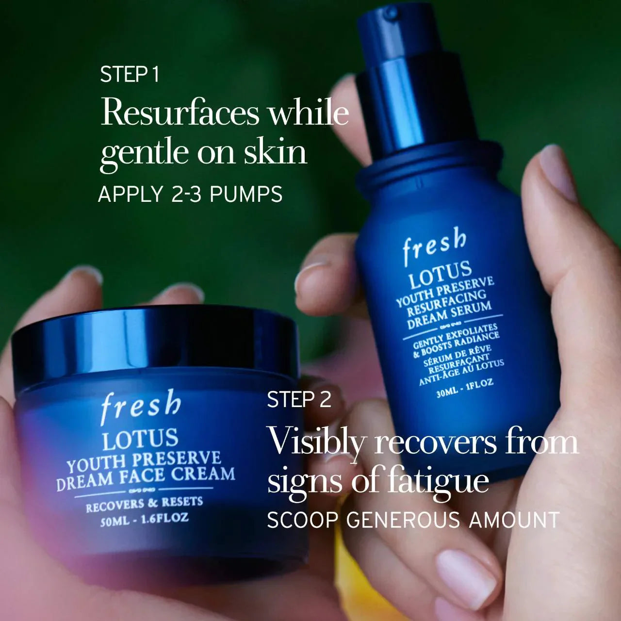 Lotus Youth Preserve Radiance Renewal Night Cream