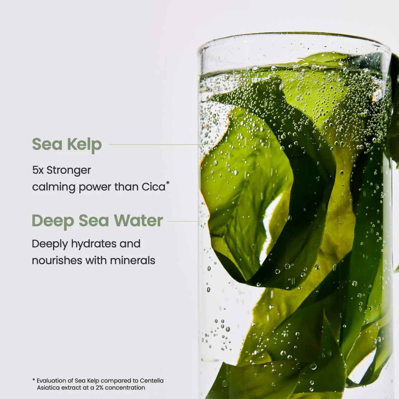 Refreshing Sea Kelp Real Deep Mask - 4 pack for Calming & Sebum Control