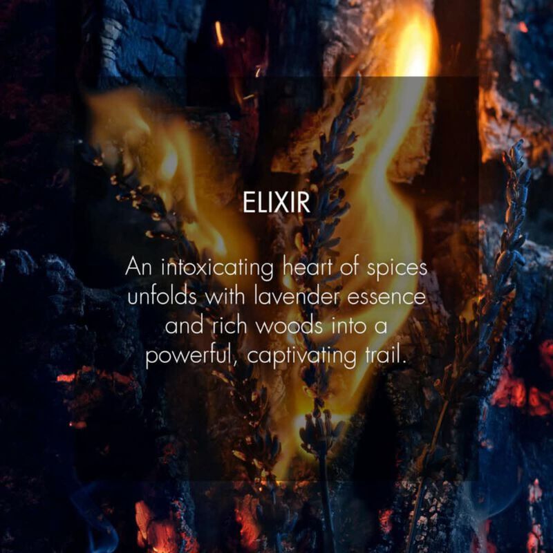 Dior Sauvage Elixir Eau de Parfum