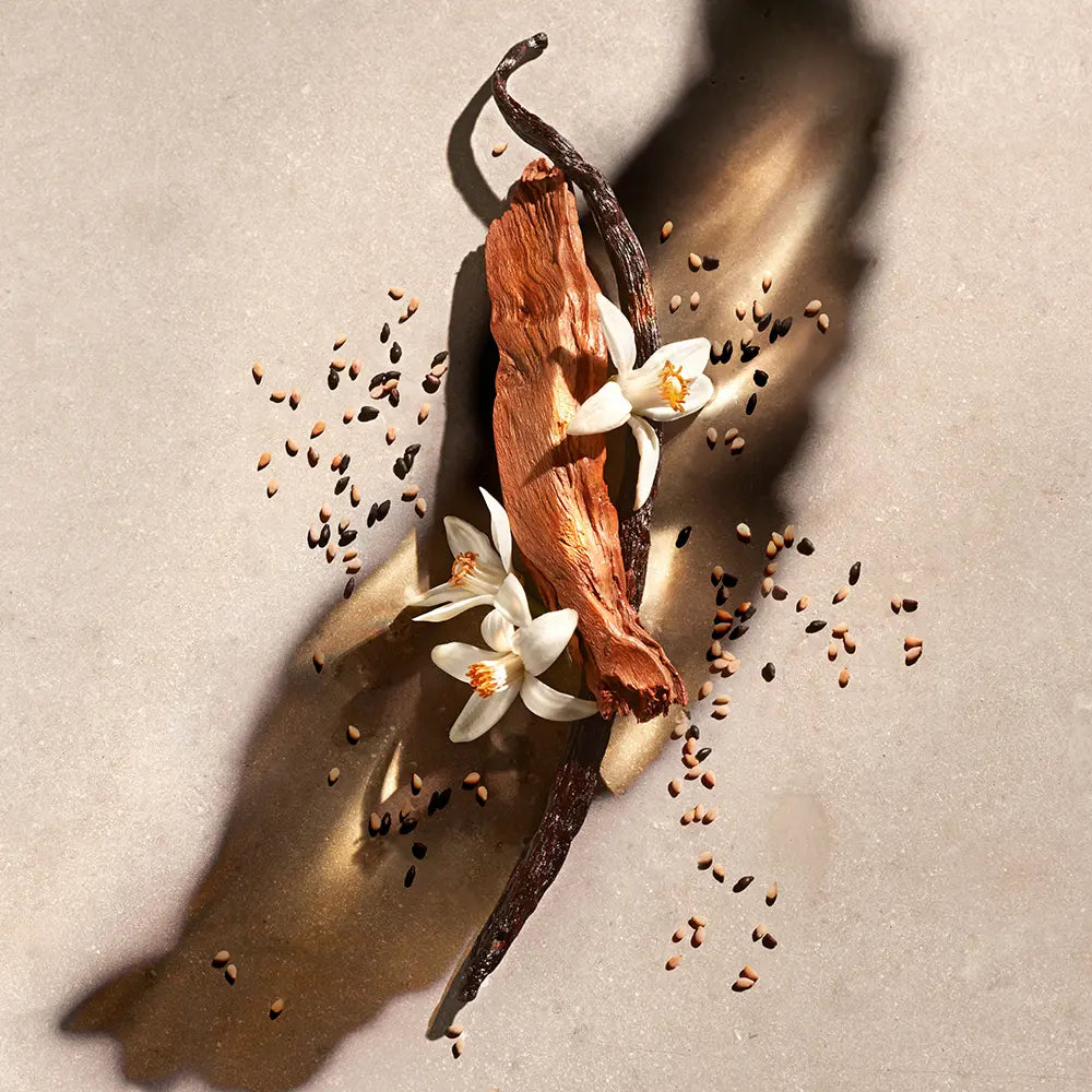 Zadig & Voltaire Zadig Eau de Parfum